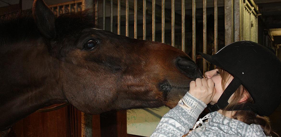 New Forest Navarana's Dion - Møs! <3 Han ville dog bare havde den godbid.... :-P billede 14