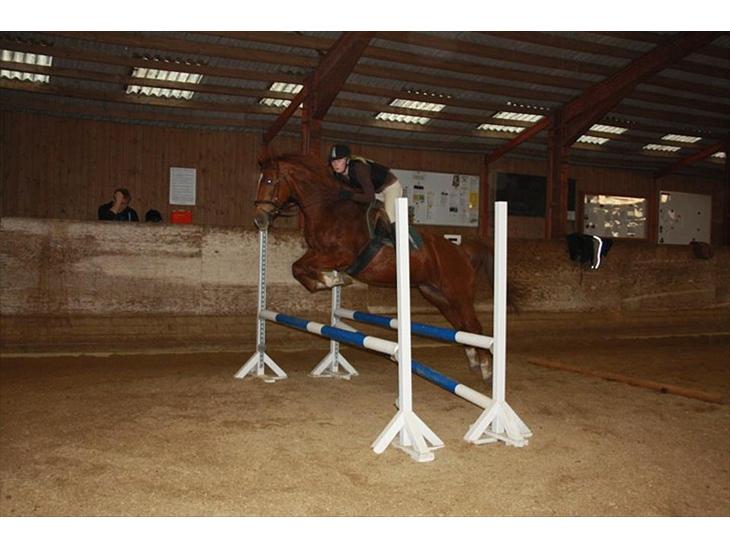 {{currentPhoto.altText}} billede {{currentPhoto.number}}