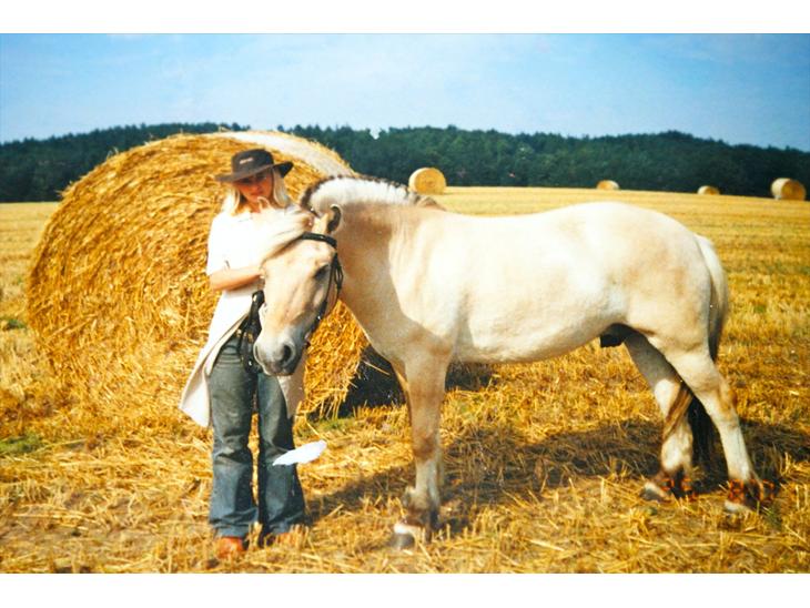 {{currentPhoto.altText}} billede {{currentPhoto.number}}