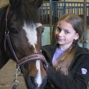 Anden særlig race Palicia