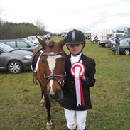 Anden særlig race Palicia