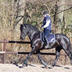 Frieser Neeltje Jacoba Van Swichum