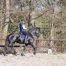 Frieser Neeltje Jacoba Van Swichum