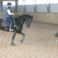 Frieser Neeltje Jacoba Van Swichum