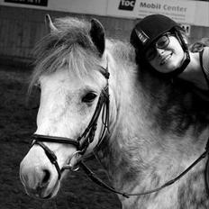 Anden særlig race Silver Moon - *Delle* <3