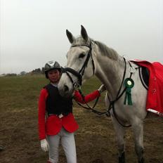 Holstener Uganda (Baby)