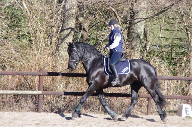 Frieser Neeltje Jacoba Van Swichum - Påsken 2012, træning med Frieser øst billede 1