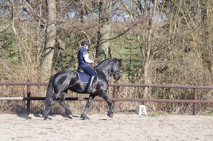 Frieser Neeltje Jacoba Van Swichum - påsken 2012 billede 2