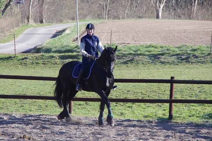 Frieser Neeltje Jacoba Van Swichum billede 6