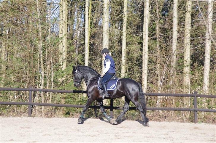 Frieser Neeltje Jacoba Van Swichum billede 7