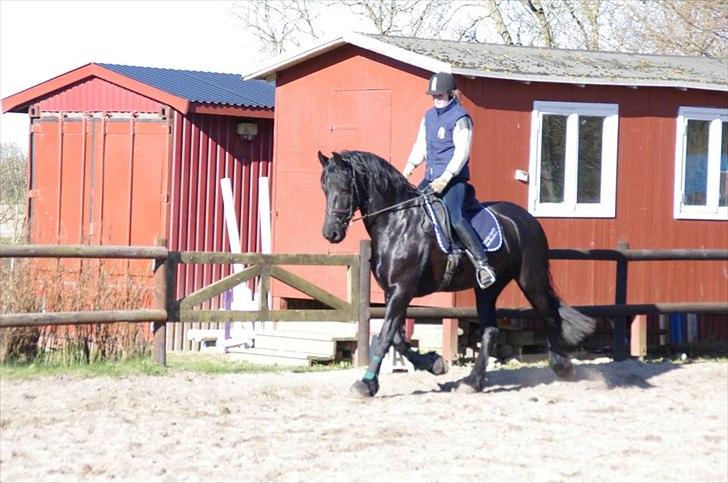 Frieser Neeltje Jacoba Van Swichum - Frisk og fræk :) billede 8