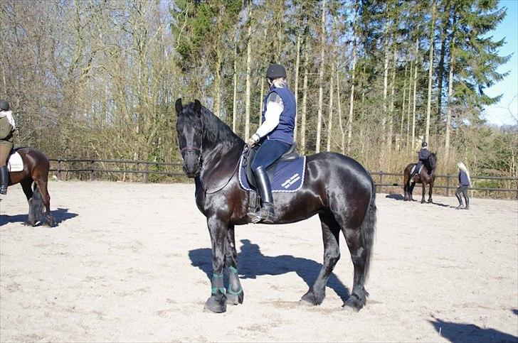 Frieser Neeltje Jacoba Van Swichum billede 9
