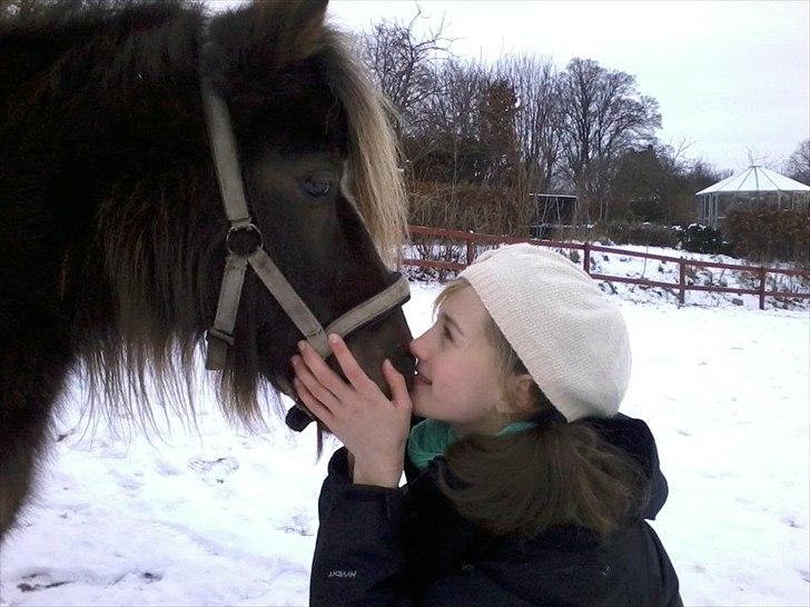 Shetlænder Tot - Et kys på mulen dejlig blød, lille hest hvor er du sød! og det kjalre når du vinsker, når du høre at jeg kalder! Ud på marken frisk og grøn, Lille hest du er jo skøn! Og jeg stiger op på hesterykken, Ride dig ja det er lykken!! :D <3<3<3 billede 17