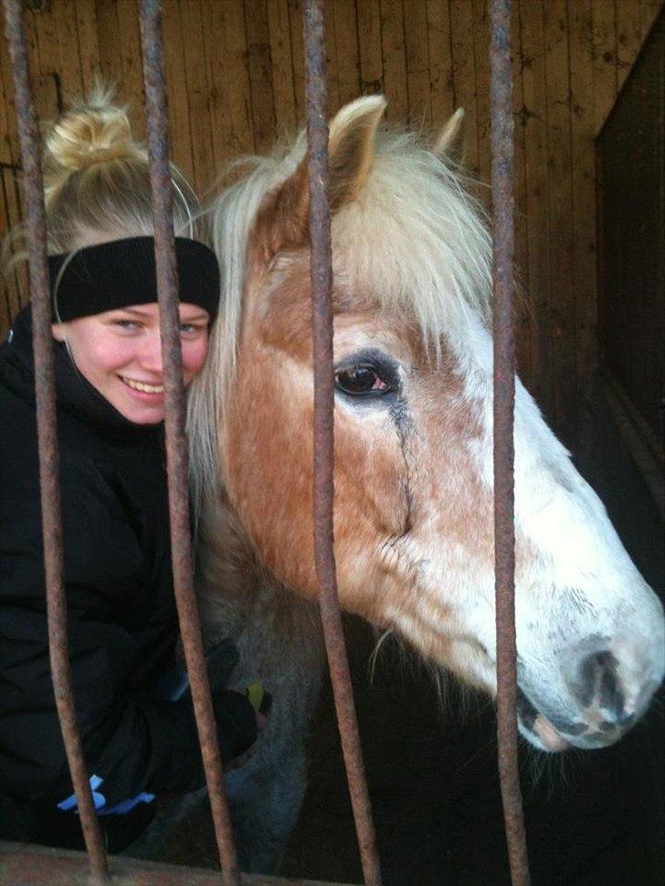 Haflinger Tulle [Solgt] - Jeg er så glad for dig Tulle, Det må du ALDRIG glemme!:-*

*Påskeferie 2012 billede 16