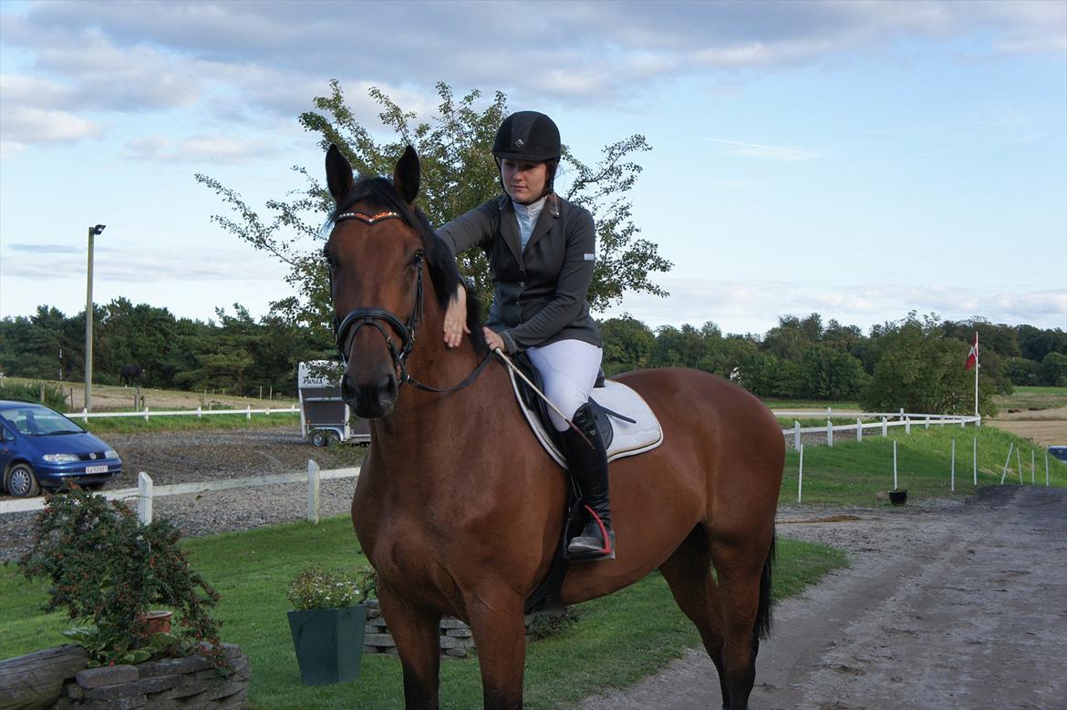 Holstener Triton billede 2