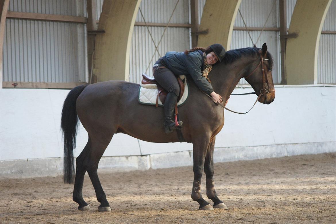 Holstener Triton - Verdens bedste. billede 9