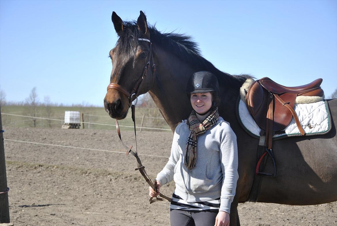 Holstener Triton - en af de første dage han kom. billede 15