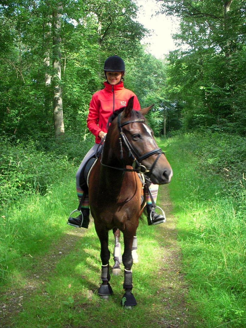 New Forest Elmholts Education A-pony (solgt) - Eddie på skovtur sommer 09 billede 7