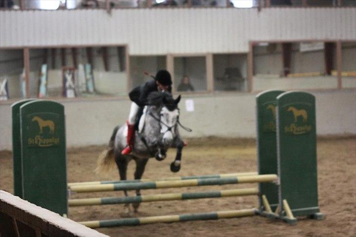 Anden særlig race [ Maybeline ] :-* - 70 cm fejlfri og rosæt. billede 10