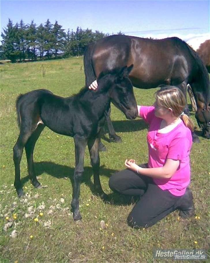 Anden særlig race Cindy - Baby Musse :')  billede 5