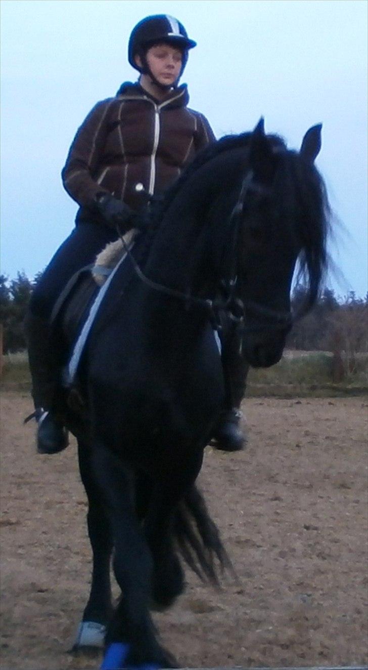 Frieser Liekele - Lige lidt ridning<3 billede 16