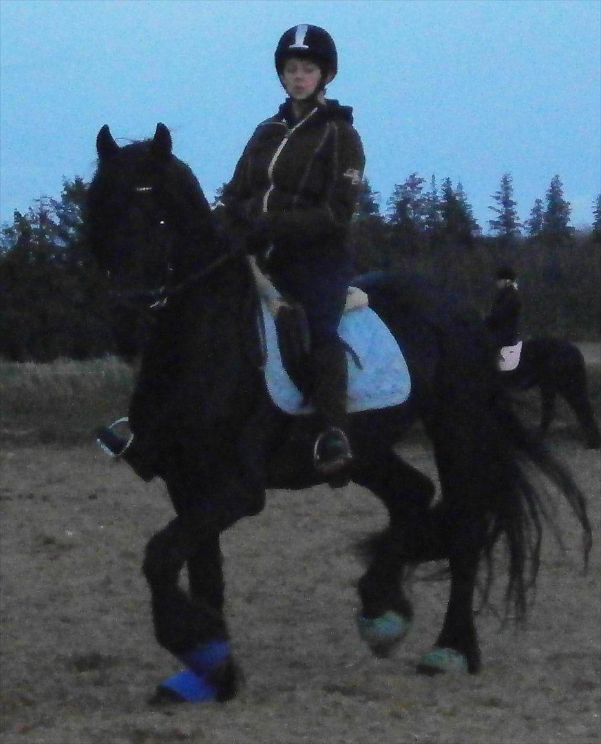 Frieser Liekele billede 17