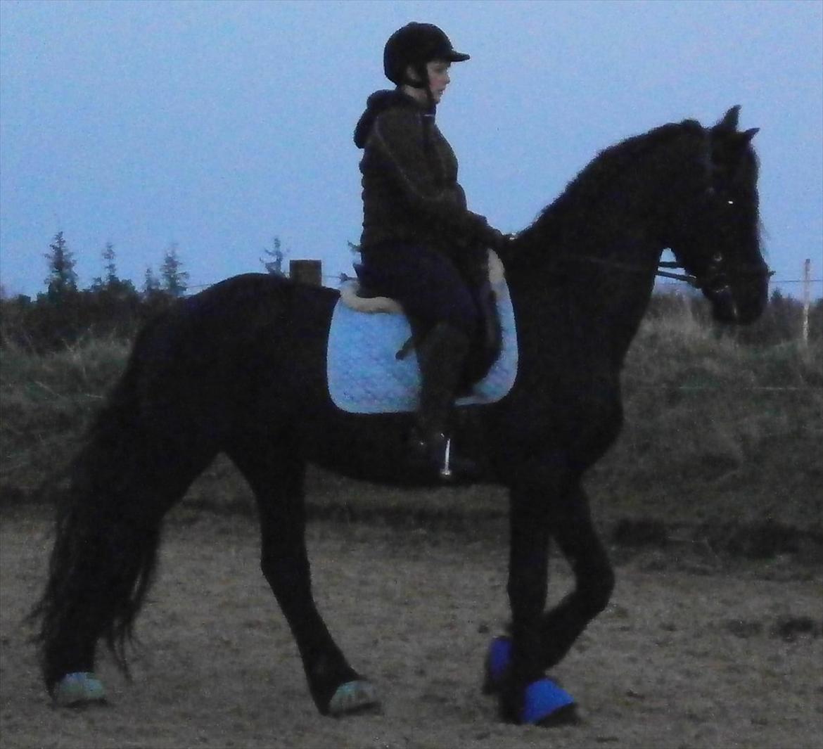 Frieser Liekele billede 18