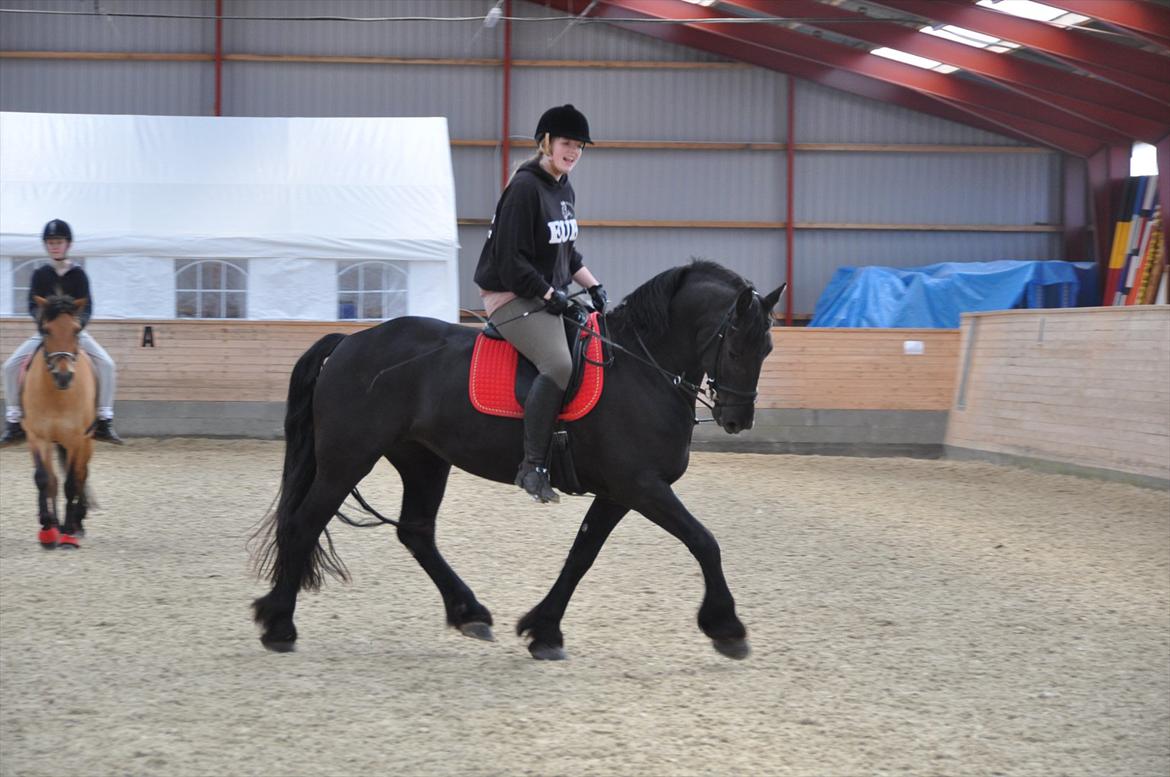 Frieser Tessa - Forår 12, Foto Stine L. billede 2