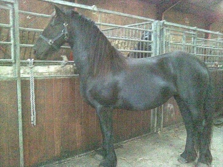 Frieser Inéz - Min smukke mor--> Gitte van Stald de Nimmendor <3 billede 18