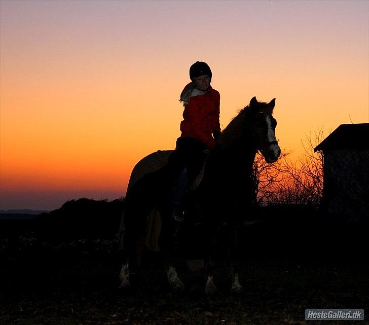 New Forest Sanchez | I miss you!<3 - I miss the time with you!<3 billede 1