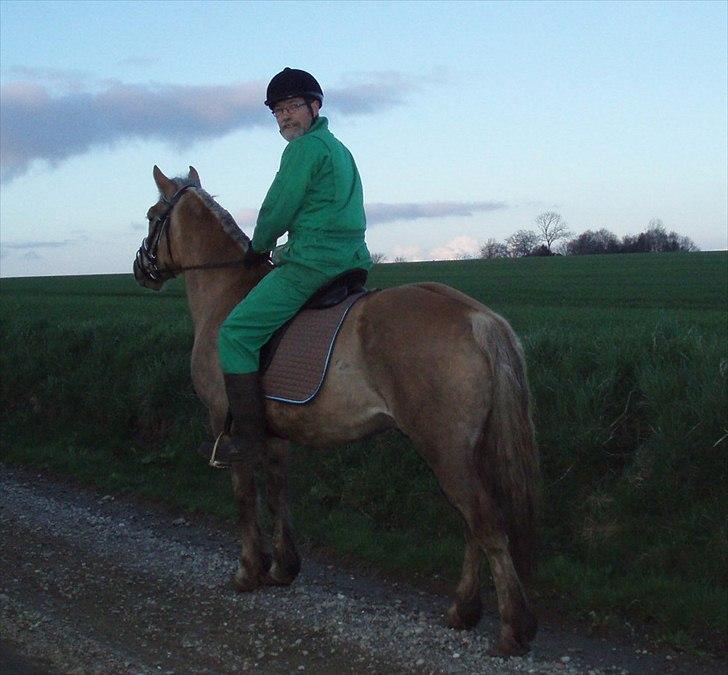 Anden særlig race RAS "Flotte fyr" - 13 April på aften tur 2 gang ude i natur billede 15