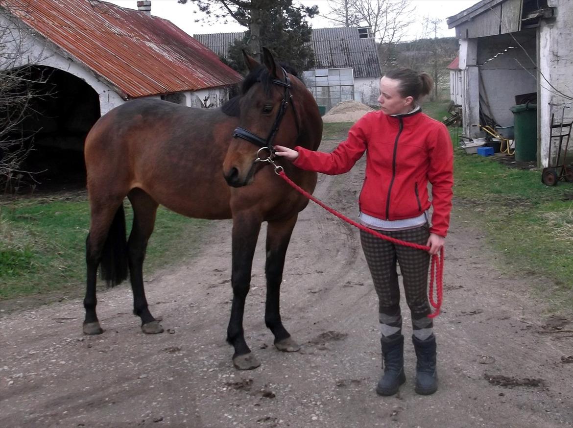 Anden særlig race Mademoiselle Bayonne billede 17