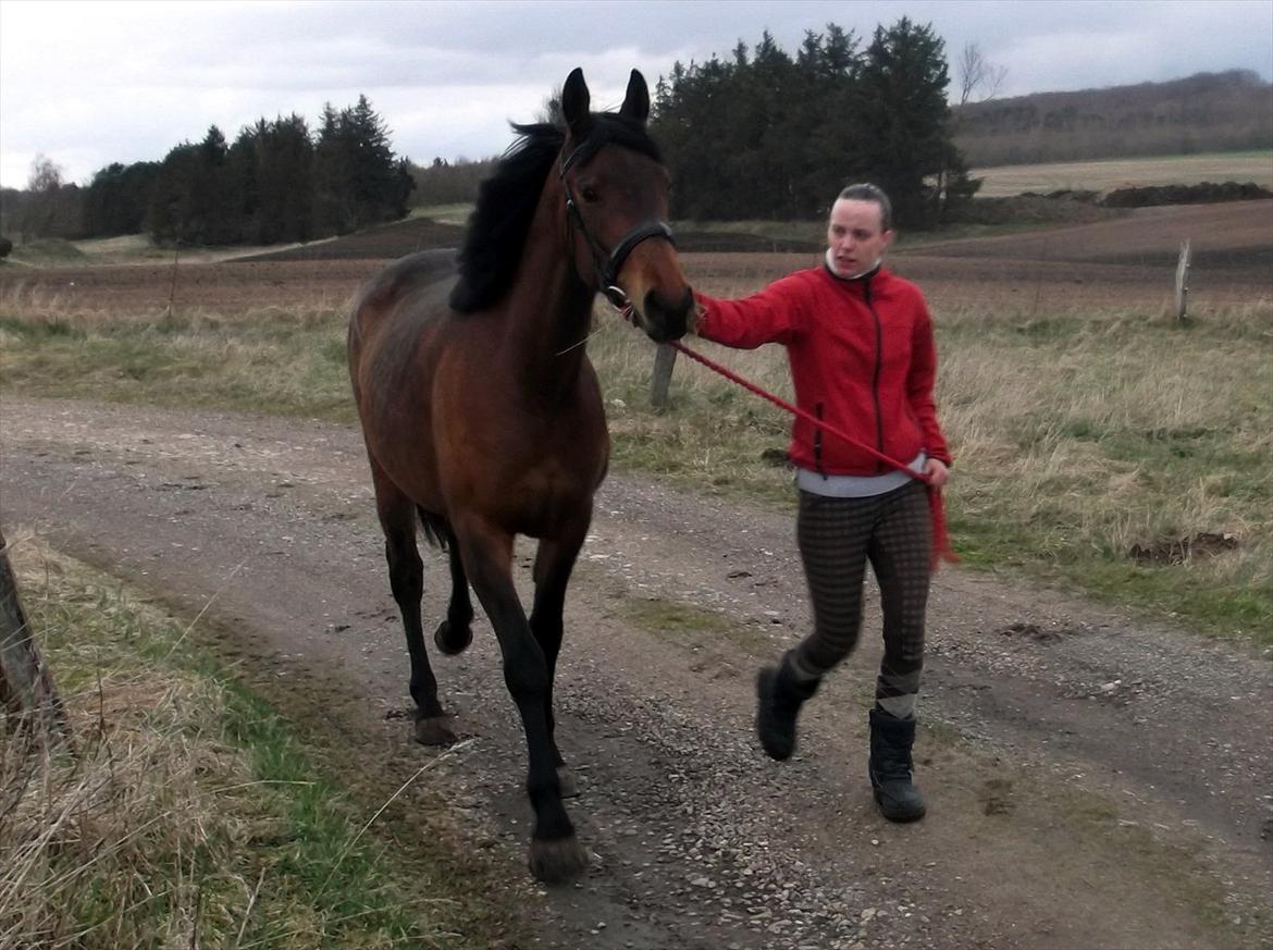 Anden særlig race Mademoiselle Bayonne billede 19