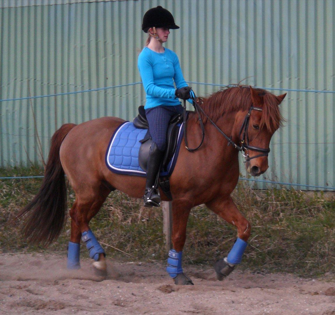 Anden særlig race ¨˜°º•¤ Aldato ¤•º°˜¨ - 8/4-2012 billede 4