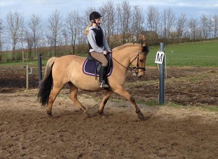 Anden særlig race Cajsa<3! *SOLGT :(* - Just like the clouds my eyes would to the same. If you walk away, everyday it will rain. billede 12