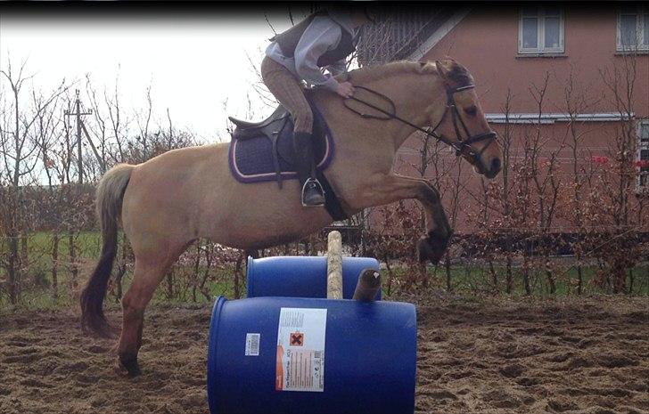 Anden særlig race Cajsa<3! *SOLGT :(* - with you, i can fly<3 billede 3