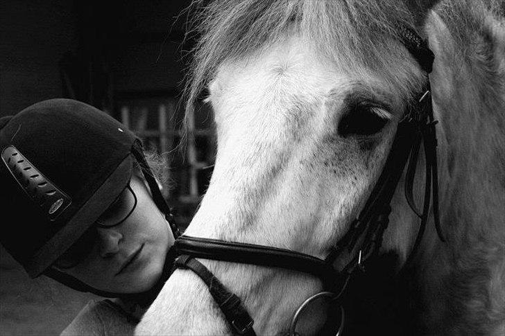 Anden særlig race Silver Moon - *Delle* <3 - "Sometimes I just wanna throw my phone away, to see who's really there for me" <3

Foto: Amanda billede 13