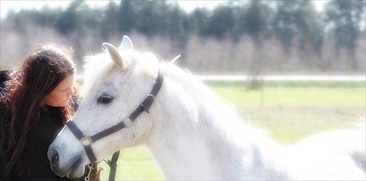 Anden særlig race Mille billede 12