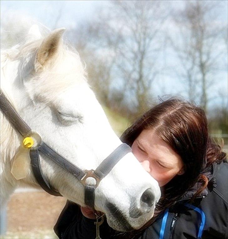 Anden særlig race Mille - dette kys betyder mere end 1000 ord billede 13