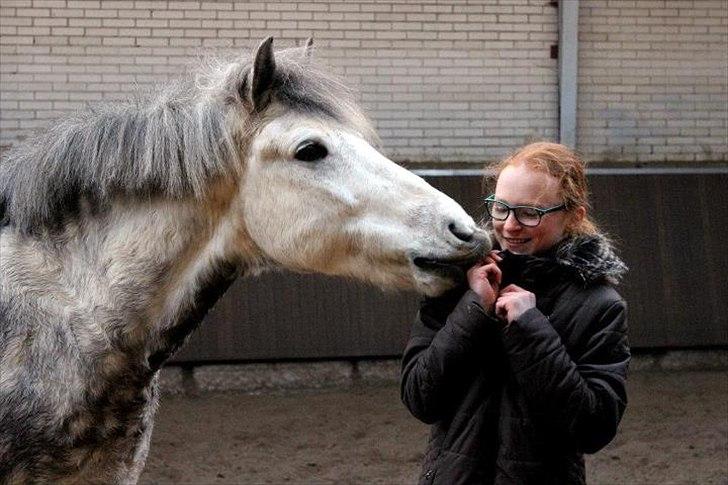 Anden særlig race Silver Moon - *Delle* <3 - du er noget af det bedste jeg ved.. de kære øjne der ser på mig når jeg kommer, og den glæde du udstråler <3

Foto: Amanda billede 11