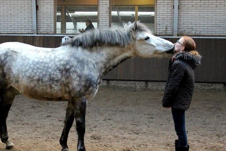 Anden særlig race Silver Moon - *Delle* <3 - Min kyssetrold <3

Foto: Amanda billede 4