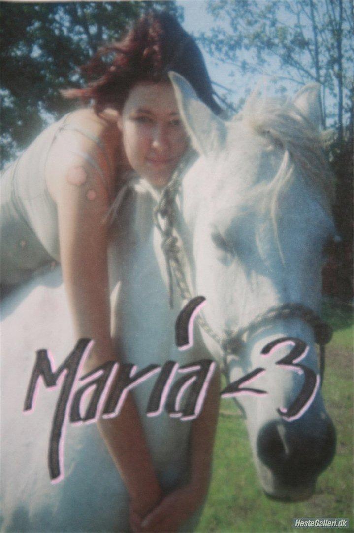 Anden særlig race Mille billede 15