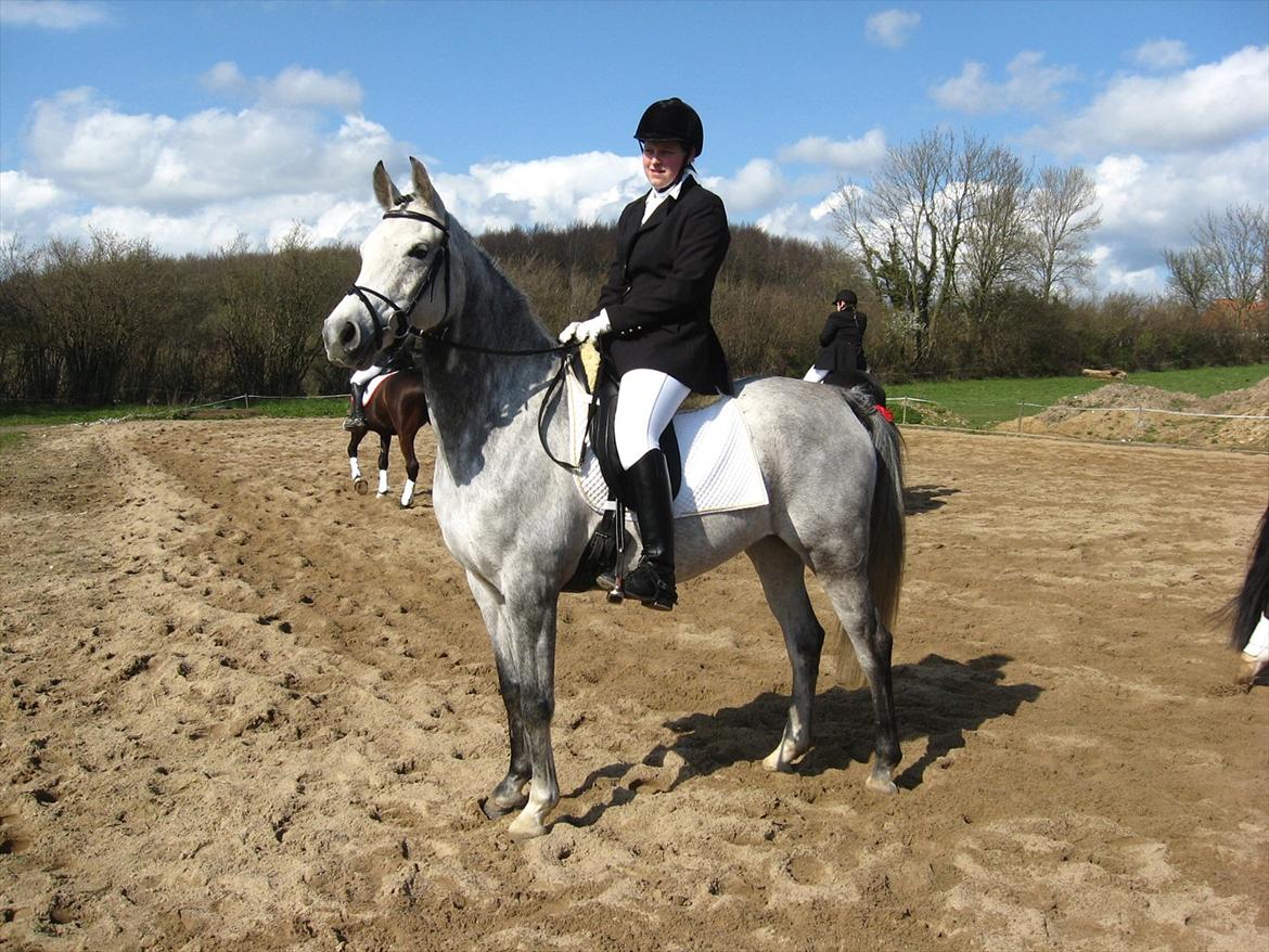 Arabisk fuldblod (OX) Gantrup fresiah ox - Stævne 14 april 2012 dressur billede 1