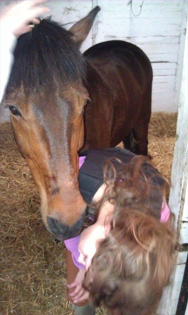 Anden særlig race Felix - Lad mig nu komme forbi pony! 8D billede 6