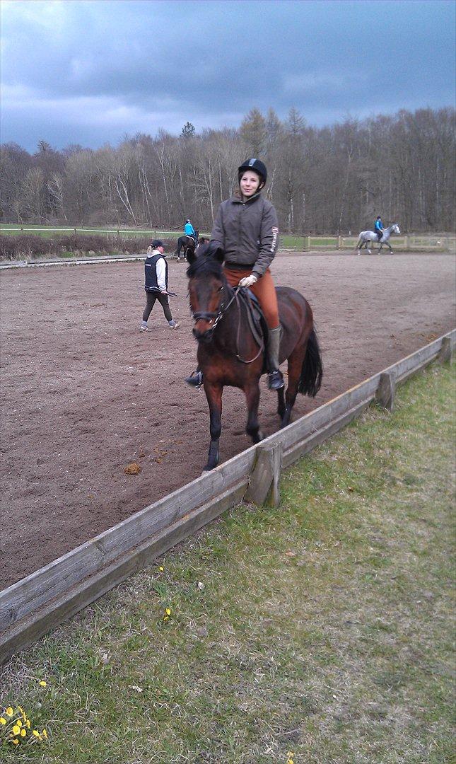 Anden særlig race Felix - See hvor er vi glade 8D billede 9