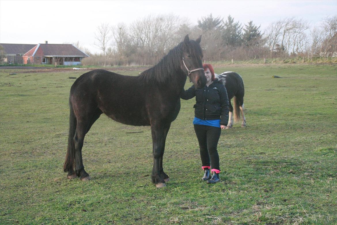 Anden særlig race Cindy billede 17