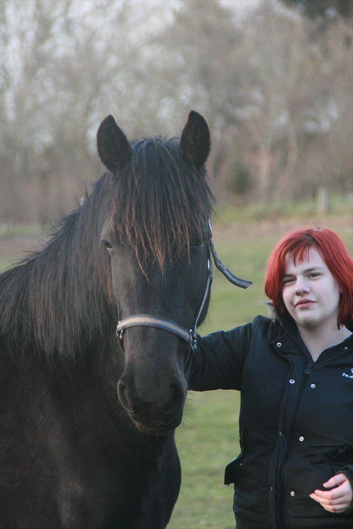 Anden særlig race Cindy billede 7