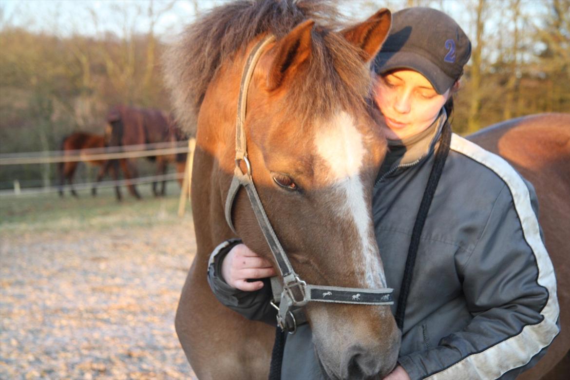 Anden særlig race Laura billede 8