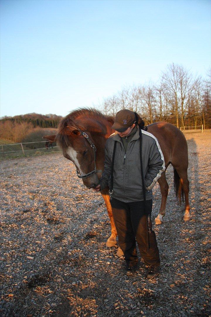 Anden særlig race Laura billede 9