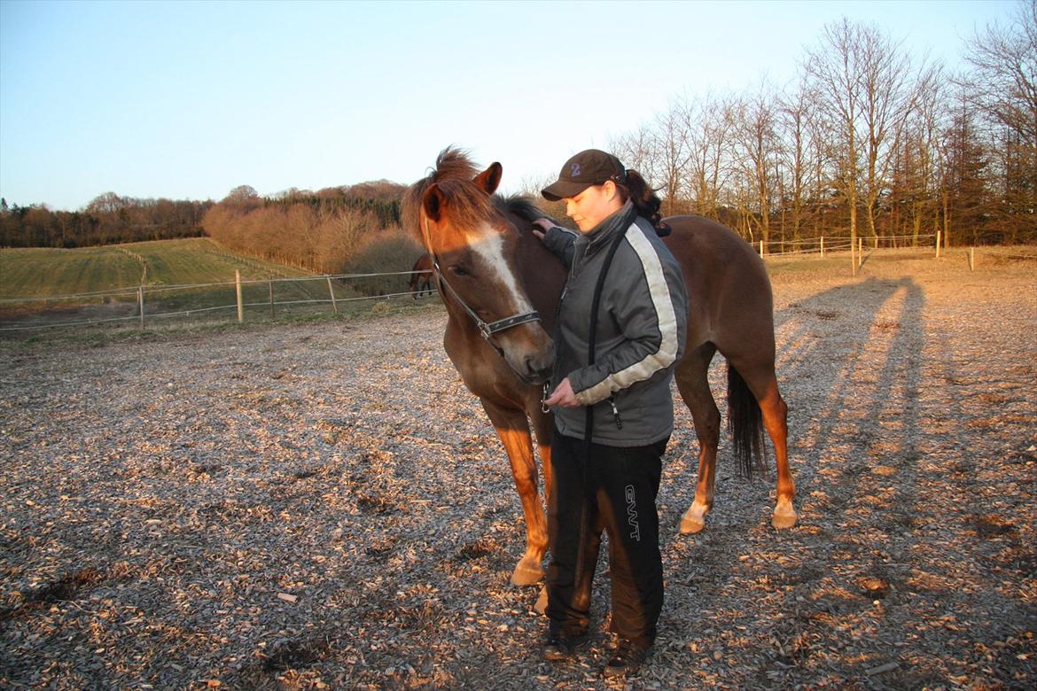 Anden særlig race Laura billede 10
